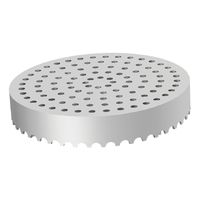 Lochrost L 15 für Universalablauf für CleanPoint 170 x 170