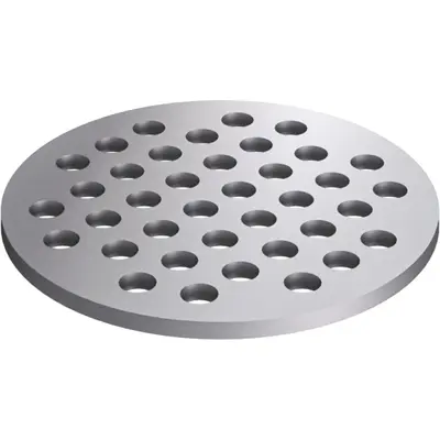 Lochrost f&uuml;r Balkonauslauf RS